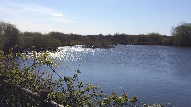 Balade Etang Monty Vendee